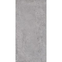 Evolution Grey 60x120x2 cm