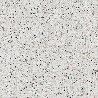 Terrazzo Outdoor White 80x80x2 cm