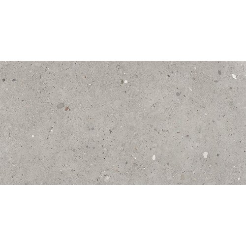 Provenza Provenza Ego Grigio 60x120 cm