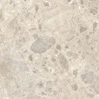 Caracter Mix Beige 60x60 cm M97J