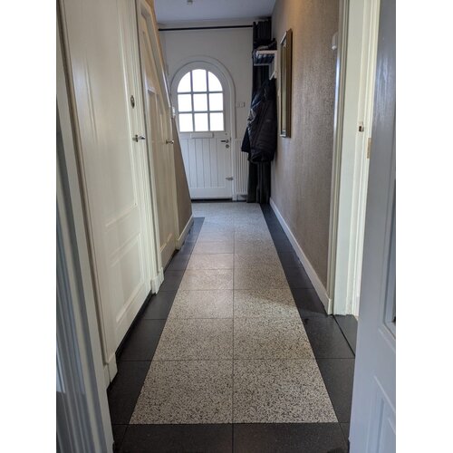 Terre d'Azur Terre d'Azur Granito Treviso 40x40 cm