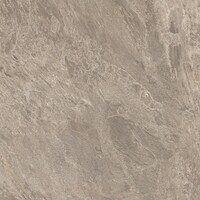 Natural Quartz Taupe 60x60x2 cm