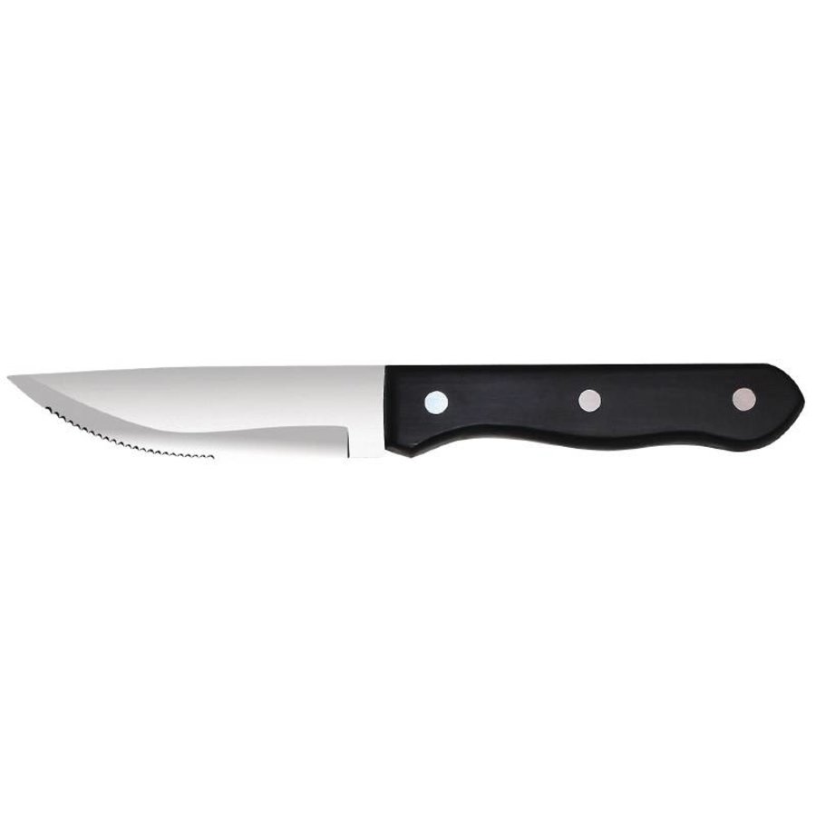 Steakmesser 25 cm | 12 Stück