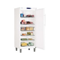 GKv 5730 | Kühlschrank Professional | weiß | 432