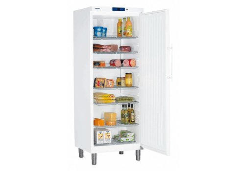  Liebherr Kühlschrank mit Beinen & 499 L 