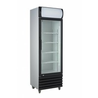 Kühlschrank | Glastür | 360L