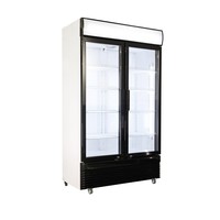 Glastür Kühlschrank | Gezwungen | 2 Türen