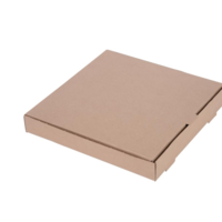 biologisch abbaubare Papppizzaschachtel | 30cm | 100 Stück
