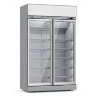 Gefrierschrank | 2 Glastüren | 960L