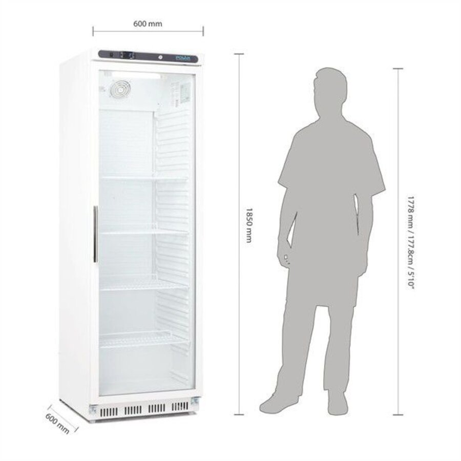 Gefrierschrank | Edelstahl | Abschließbare Glastür | 365 L | 185(H)x60(W)×60(T) cm