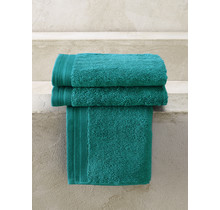 De Witte Lietaer gastendoek Excellence 40x60 lake green