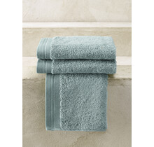 De Witte Lietaer gastendoek Excellence 40x60 oxyde