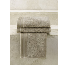 De Witte Lietaer gastendoek Excellence 40x60 taupe