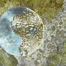 Abyss & Habidecor Abyss & Habidecor Dune Badmat  0/85 210 Aqua