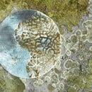 Abyss & Habidecor Dune Badmat  0/85 210 Aqua