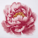 Abyss & Habidecor Pivoine Badmat  0/100 573 Flamingo