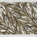 Abyss & Habidecor Abyss & Habidecor Diane Badmat  70X120 800 Goud