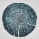 Abyss & Habidecor Abyss & Habidecor Fossile Badmat  0/95 325 Dragonfly