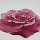Abyss & Habidecor Abyss & Habidecor Passion Badmat  0/90 573 Flamingo