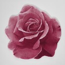 Abyss & Habidecor Abyss & Habidecor Passion Badmat  0/90 573 Flamingo