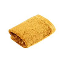 Vossen Gezichtsdoekje Vegan Life salamander 30x30