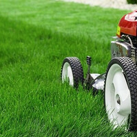 Maaien & verticuteren