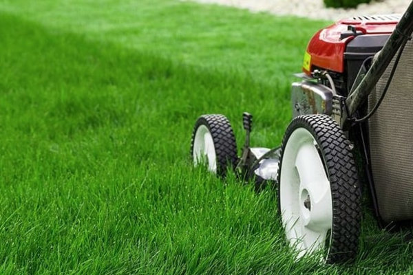 Maaien & verticuteren Maaien & verticuteren