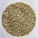Fenchel Bio