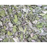 Apfelminze Bio