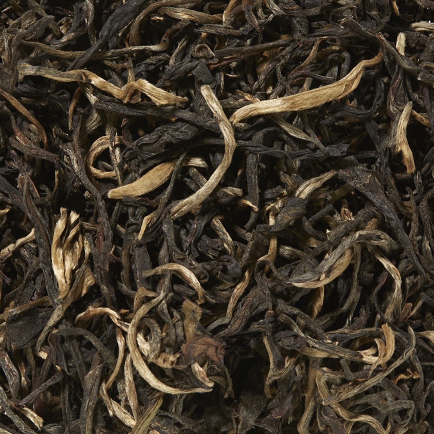 Yellow Dragon Bio