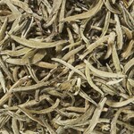 Downy Silver Needle Bio