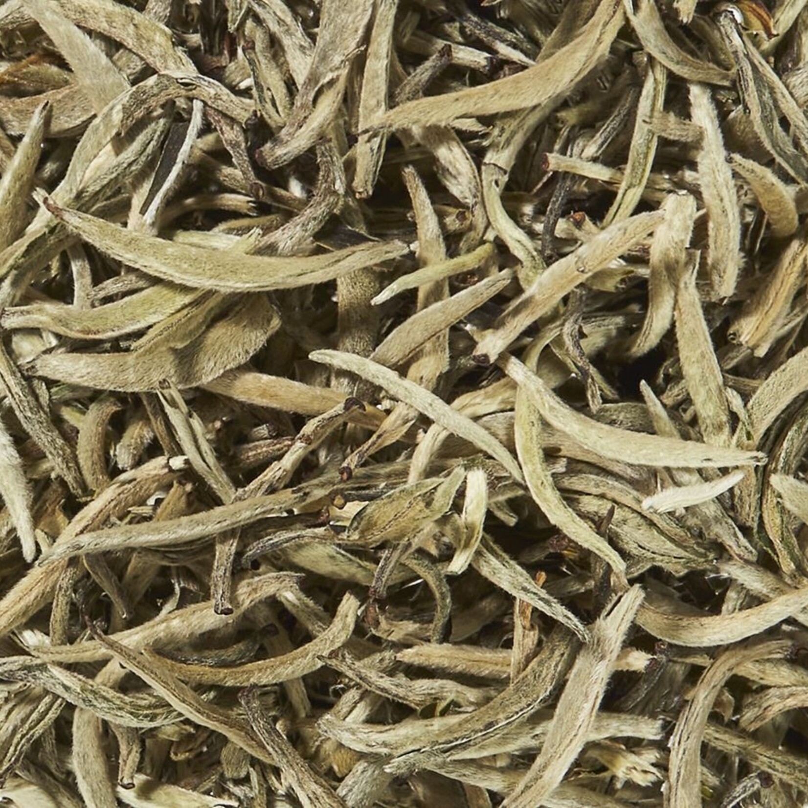 Downy Silver Needle Bio