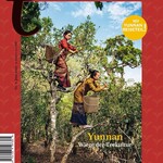t-magazin Nr. 9