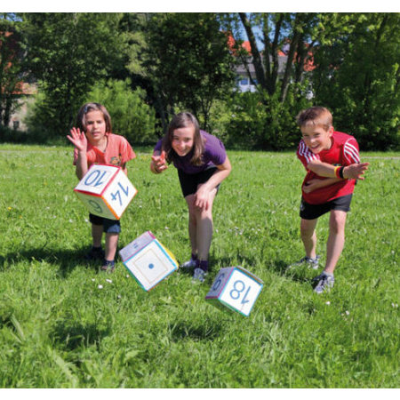 Dobbelsteen met inschuifhoezen