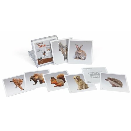 Fotobox zoogdieren