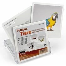 Fotobox vogels, vissen, insecten en reptielen