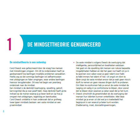 Wijzer in Mindset