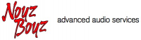 Noyz Boyz Audio