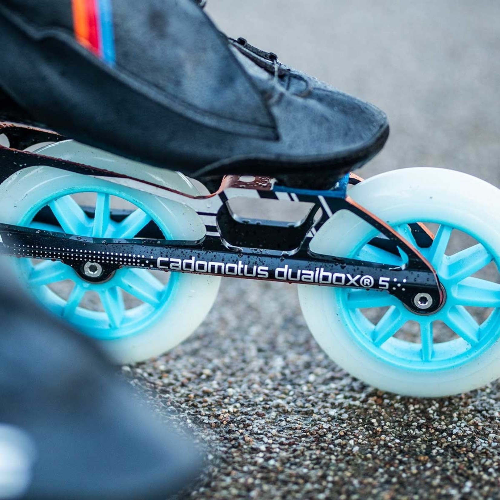 Cado Motus Magic 125 mm inline skate wiel