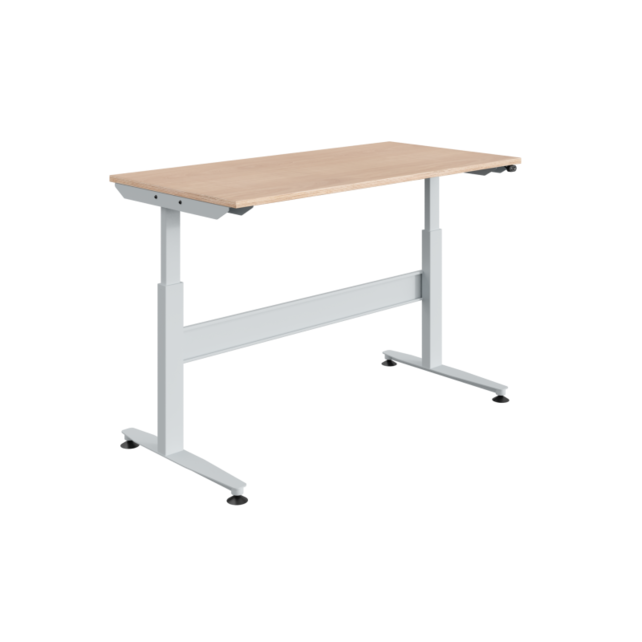 Ergonomic Worktable with Electrical Height Adjustable 140 kg Workbench
