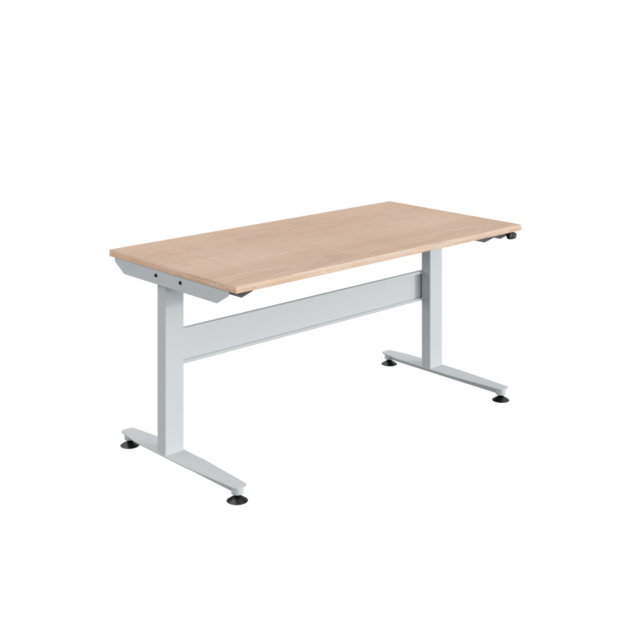 Ergonomic Worktable with Electrical Height Adjustable 140 kg Workbench