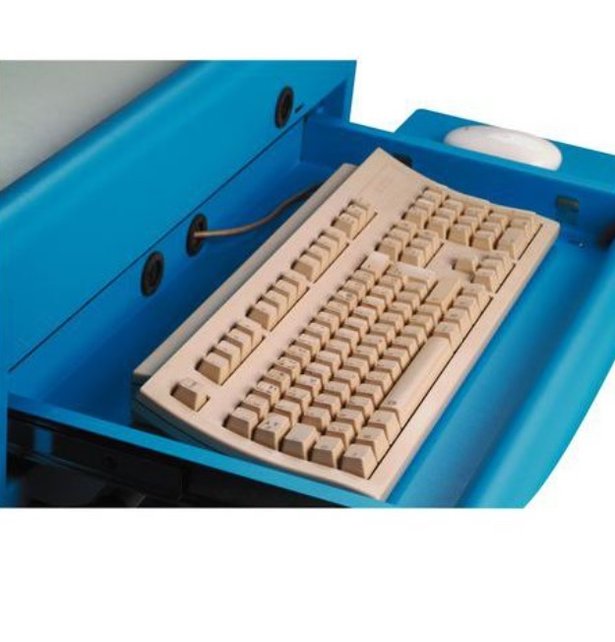 Computer Cabinet AIC500 for Factories and Warehouses - Industrial Blue