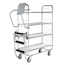 Salesbridges Order Picking Shelf Trolley Roll container e-commerce 139x65x170 cm