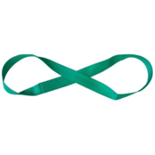 Endless Flat Webbing Sling , 2 tons