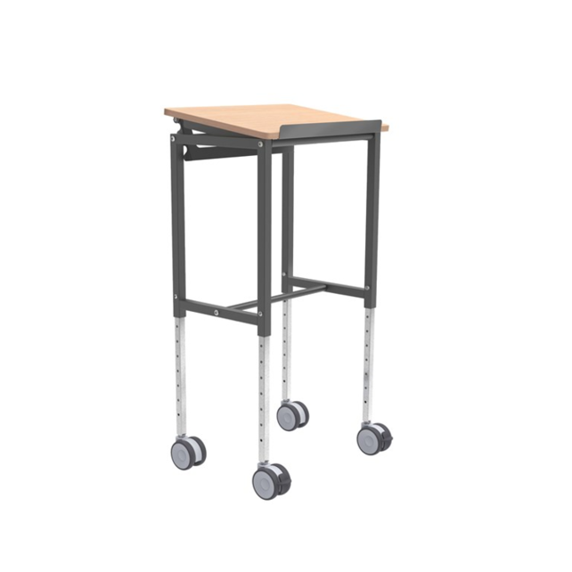 Roll Table , Adjustable Height (720-1100 mm)