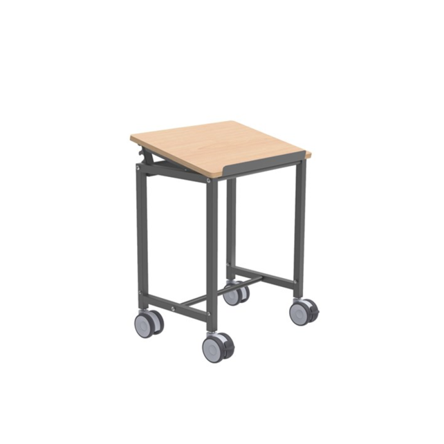 Roll Table , Adjustable Height (720-1100 mm)