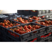 Folding Crate 600 x 400 x 219 mm -Capacity 46L