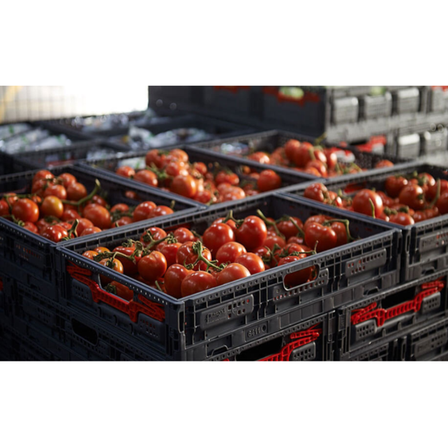 Folding Crate 600 x 400 x 219 mm -Capacity 46L