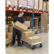 PARCEL TROLLEY- Removable Mesh Wall