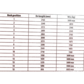 Crane Jib 3 T for Forklift Extendable  Lifting Arm Up To 3.7 Meter